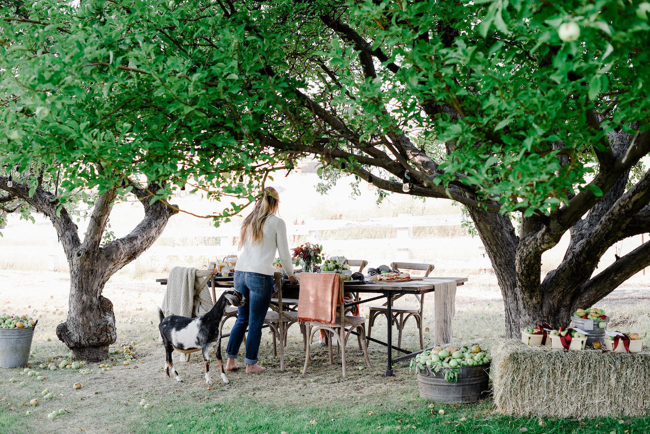 Celebrate Fall the Right Way with This Apple Harvest Party